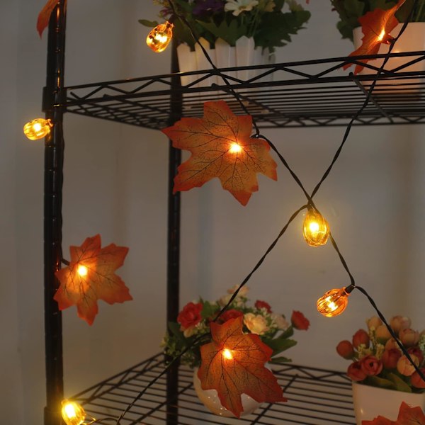 Solcellsbelysning med pumpa och lönnlöv, 50 LED 30ft höstgirlang med lampor Vattentäta pumpa lampor för Thanksgiving Halloween Höst
