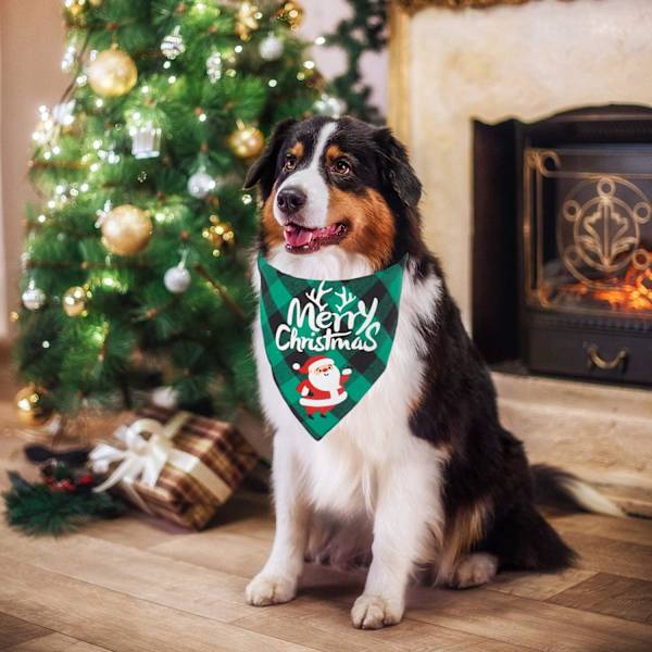 2 Pakke Hunde Bandana Jul Klassisk Buffalo Plaid Hunde Halstørklæde Kæledyr Trekant Hagesmæk