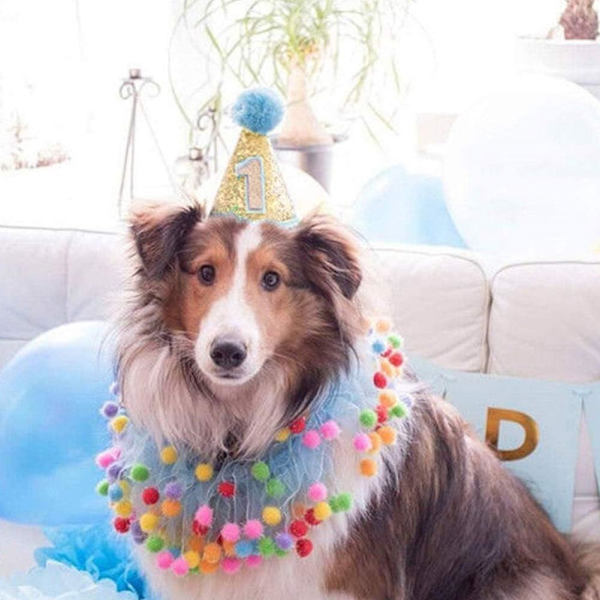 Festhue til hunde og katte - Sequin hovedbeklædning til kæledyrsfester