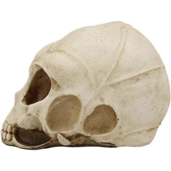 Ebros Roswell UFO Alien Honeycomb Elongated Skull Statue 8\"Lang Ekstra Terrestrial Skelet Monster Hoved Alkymi Ossuary Macabre     Dekorativ Multi