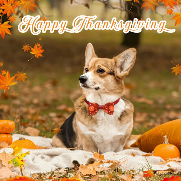 100 st höst Thanksgiving hund fluga slipsar bulk justerbar höst hund fluga hund krage båge semester hund båge för hundar Thanksgiving Thanksgiving