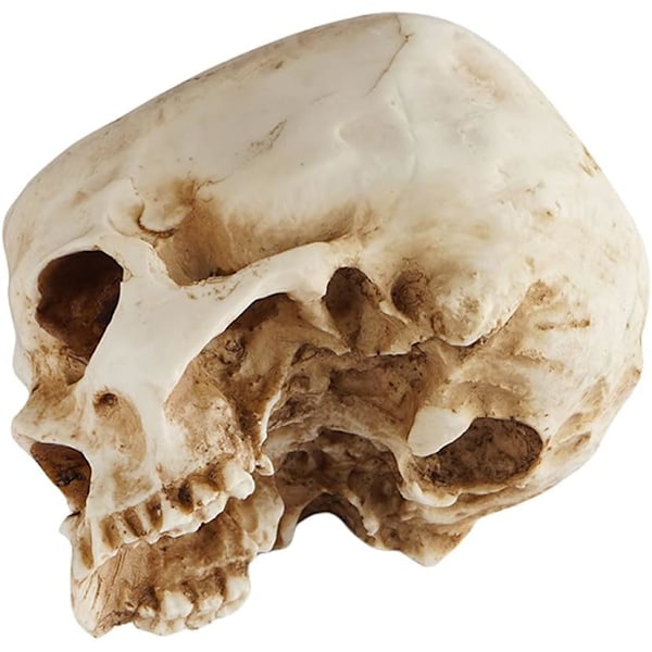Ebros Caribien Jolly Roger Pirat Skattekiste Gotisk Sølv Sort Homosapien Kranie Askebæger Statue 4.5\" Høj Nautisk Ossuarium Makaber Halloween