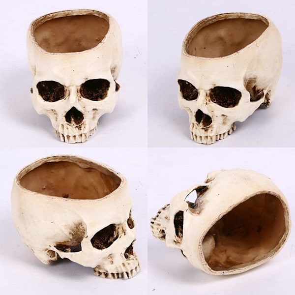 Ebros Caribien Jolly Roger Pirat Skattekiste Gotisk Sølv Sort Homosapien Kranie Askebæger Statue 4.5\" Høj Nautisk Ossuarium Makaber Halloween