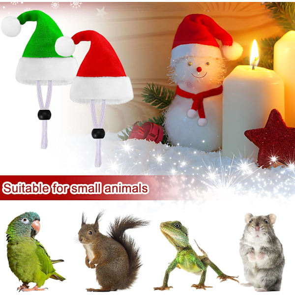 12 st Minihattar, Jul Pet Kyckling Hatt Scarf Set Röd Grön Små djur Hatt
