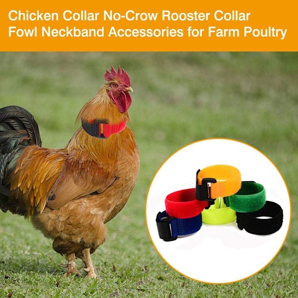 Uppgradera Anti Crow Rooster Halsband, Kyckling Halsband Brusfri, Ingen Crow Rooster Halsband, Anti Brus Nylon Halsband för att hålla tuppar tysta, 6 stycken