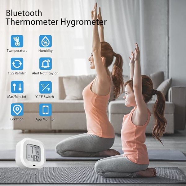Mini termometer Hygrometer Sensor Bluetooth fuktighet