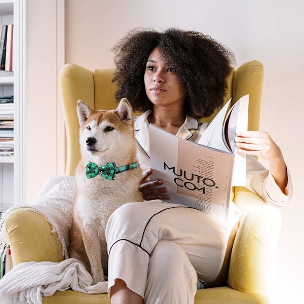 Julehundehalsbånd med sløjfe, naturligt rent bomuldsmateriale, blødt, behageligt og justerbart, til hunde små mellemstore store jul