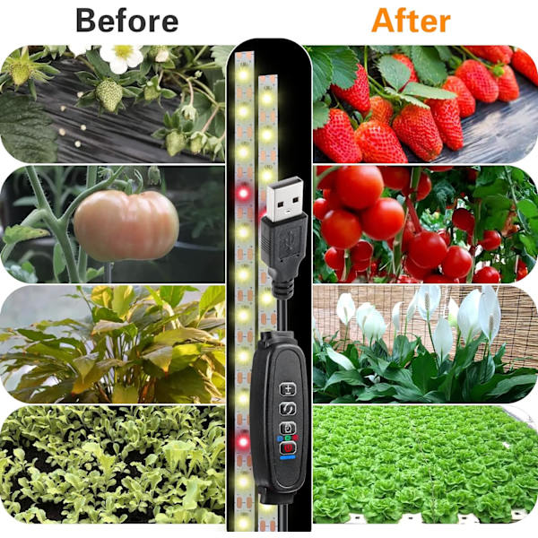 Innendørs plantelys - Fullspektrum LED-lamper med timer