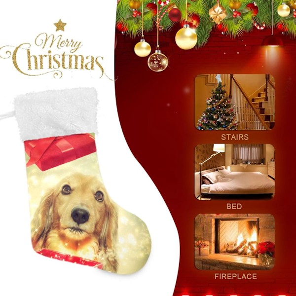 Julklapp, Personliga Julklappsstrumpor 2-pack Jul Dackel Öppna En Magisk Låda 45,7 cm Julstrumpor Hängande Ornament