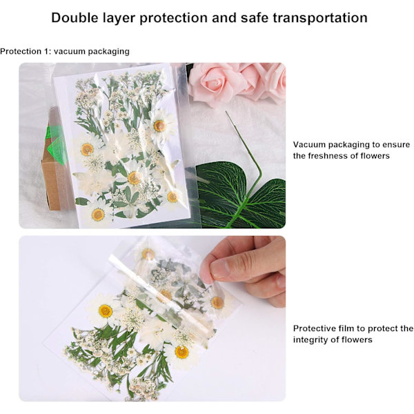 Tørrede pressede blomster, naturlige tørrede blomster, ægte pressede