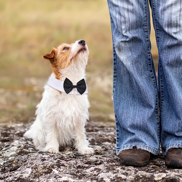 Hvit og svart sløyfe til kjæledyr, 3 stk justerbart slips til hund, formell hundesmøkkekostyme, halsbånd til hunder og katter, S hvit S hvit S