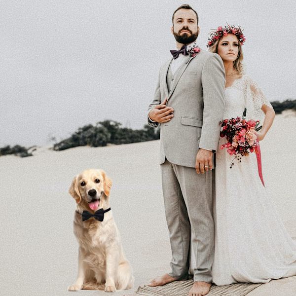 Sort slips til hunde, justerbar slips til hunde med butterfly, til mellemstore og store hunde, katte, kæledyr, bryllup, fødselsdag, dimission, ferie, jul, kostumer