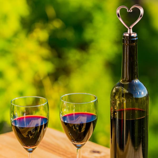 Vinpropp 3-pack Vinflaskpropp Återanvändbara vinproppar Läcksäkra vinkorkar Flasklock för att hålla standardflaskor Vin Champagne färskt