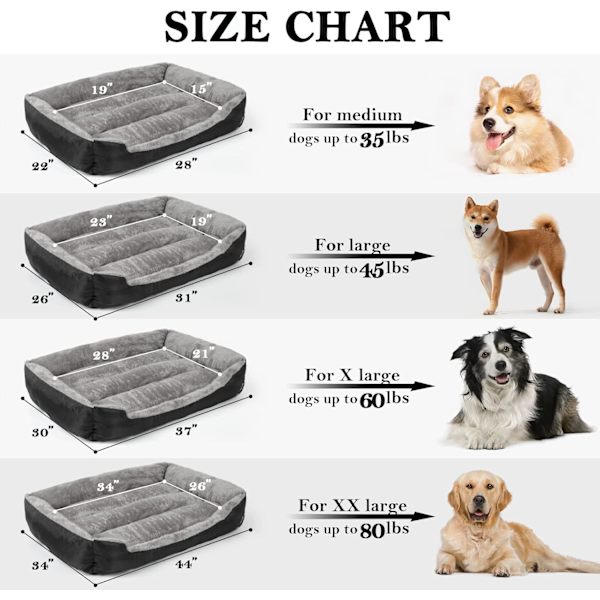 Hundeseng. Hundesenge til mellemstore hunde. Rektangulær vaskbar hundeseng