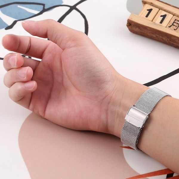 Til Fitbit Charge 5 Milan Stål Dobbelt Spænder Rem Urrem TNB Silver