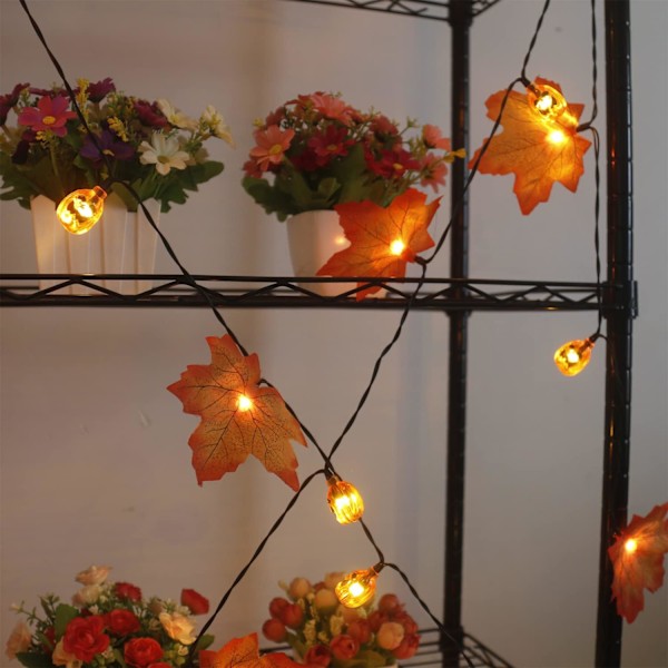 Solcelledrevne gresskar- og lønnebladlysslynger utendørs, 50 LED 30 fot høstgirlander med lys Vanntette gresskarlys for Thanksgiving Halloween høst