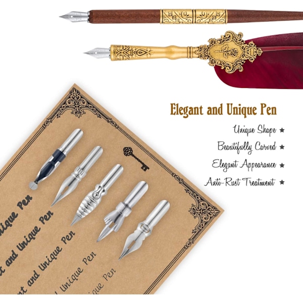 Kalligrafiset för nybörjare Kalligrafifyllpenna Penna Set Fjäder Kalligrafipennor Calligraphy Set B-PA-16  B-PA-16