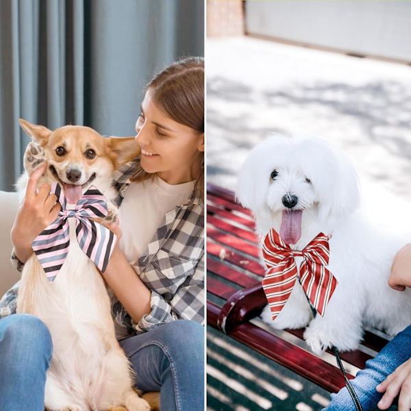 50 stk. Hundesløjfe, Justerbare Sløjfe Kraver til Små Mellemstore Hunde, Komfortable Katte Hals Sløjfe Stor Hvalp Søde Halstørklæder Kæledyr Pleje Elegant