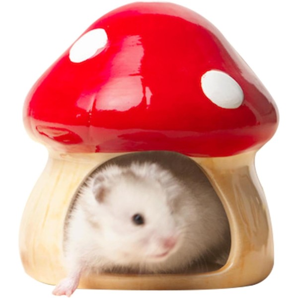 Keramisk Hamstergömställe | Husdjursbur för Hamster | Husdjursbostäder för Hamster, Kylstuga, Husdjurs Hamstergömställe Bur, Svamformad Komfort för Litet Husdjur Stort