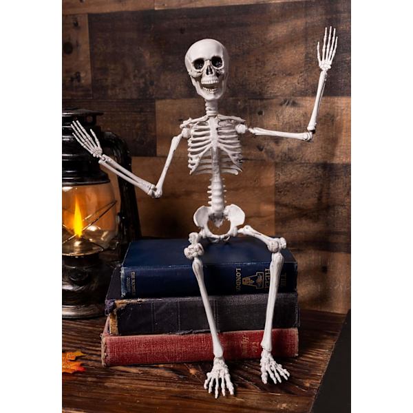 Poseable Skelet 20 tommer