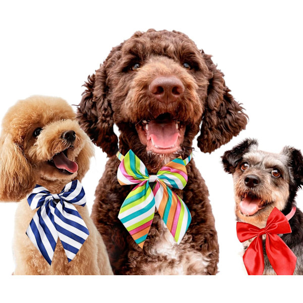 50 stk. Hundesløjfe, Justerbare Sløjfe Kraver til Små Mellemstore Hunde, Komfortable Katte Hals Sløjfe Stor Hvalp Søde Halstørklæder Kæledyr Pleje Elegant