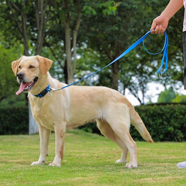 Vattentät hundhalsband, lätt att rengöra gummihundhalsband med snabbspänne passar små, medelstora eller stora hundar (blå, M < 11,8-18,5 tum) Blå