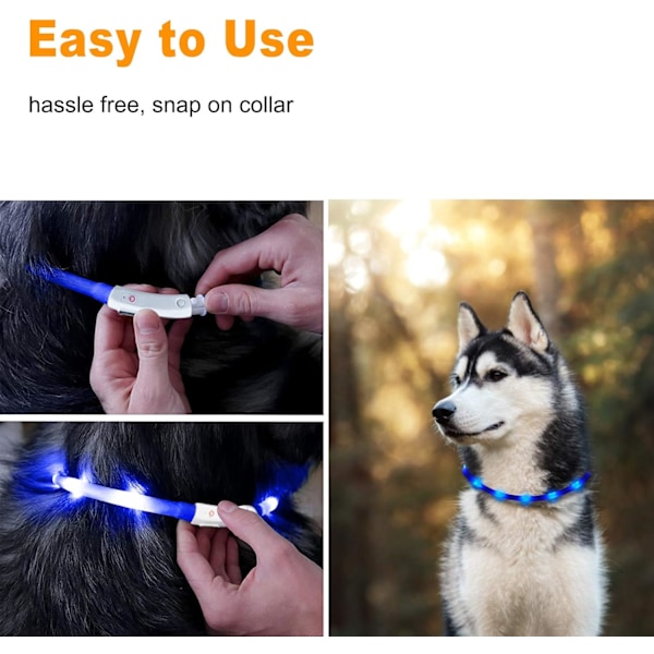 LED-halsbånd for hund - USB-oppladbar lysende krage for synlighet om natten