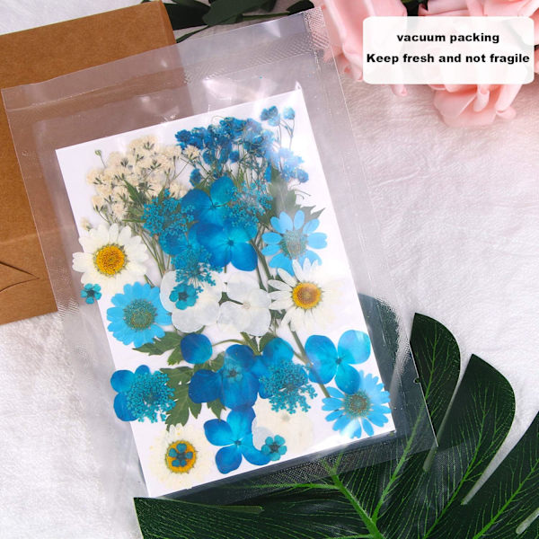 Tørrede pressede blomster, naturlige tørrede blomster, ægte pressede