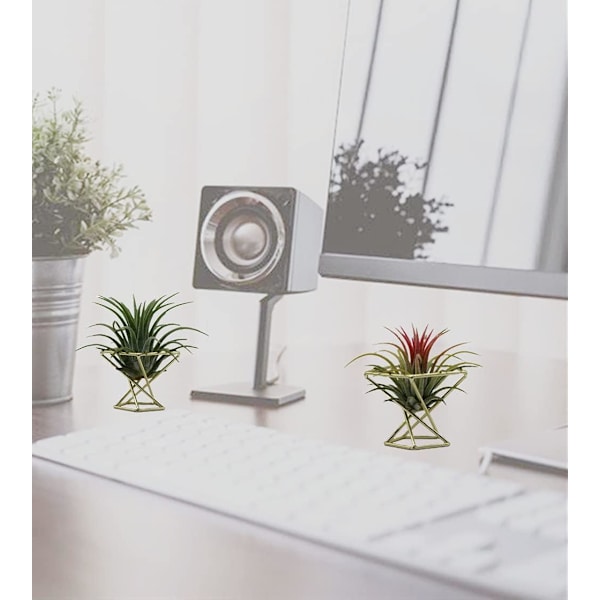 Geometrisk luftplanteholder (Guld 3 stk) - Metall Tillandsia Krukhylder
