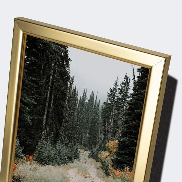 8x10 guld tavelramar - för vägg eller bordsskärm