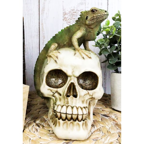 Ebros Gift Underworld Macabre Reptilian Skull med Iguana Lizard Figurine Skelett Cranium Head Skulls Figurine för Day of The Dead Ossuary May