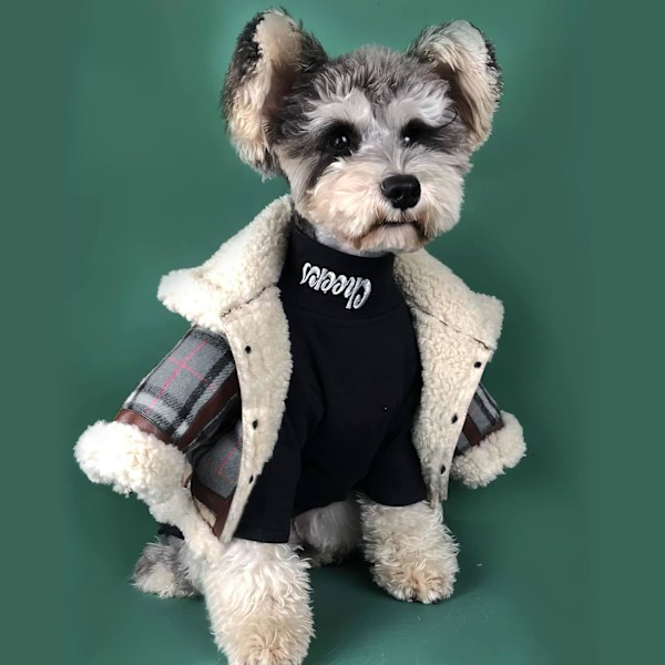 Rutiga hundtröjor för små hundar, kappa
