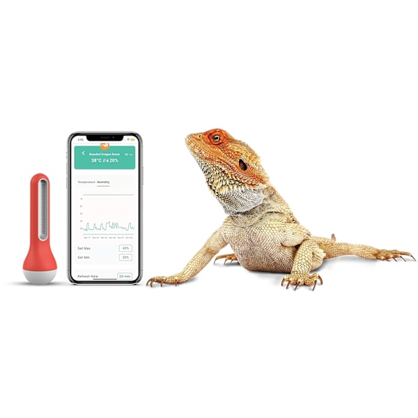 Trådlös termometer hygrometer Bluetooth/Wifi-anslutning