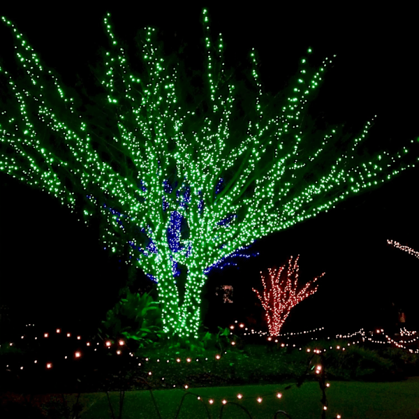 2-pack St. Patrick's Day Shamrock-lampor, 50 LED utomhus dekorativa ljusslingor, batteridriven Lucky Clover-lampa, 8 belysningslägen och timer,
