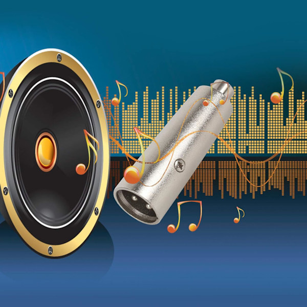 4 stk. XLR han til RCA hun adapter - Audio koblingsadapter