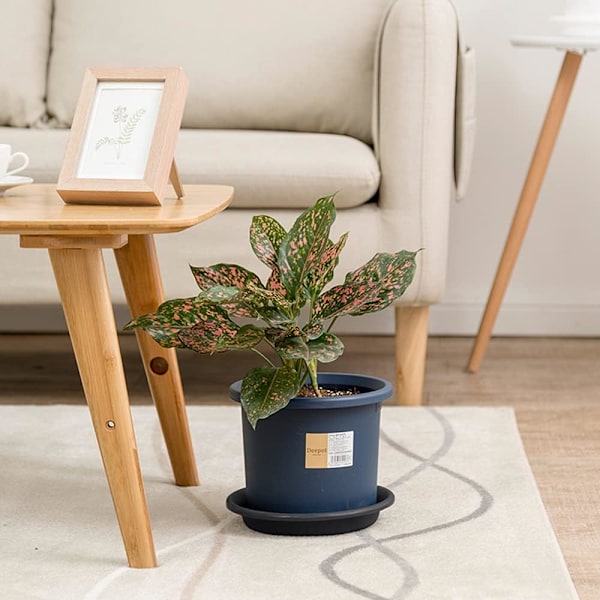 Plastkrukor (5 st) - Droppbrickor för blomkrukor för inomhus- och utomhusväxter