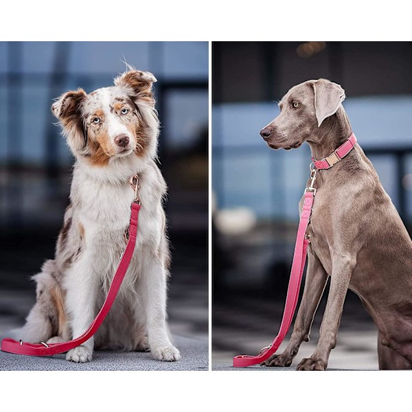 Mykt skinnhalsbånd og kobbel for hund (6,6') sett - Stilig rosegullfarget tungmetallspenne, 4 justerbare lengder kobbel for små mellomstore store hunder