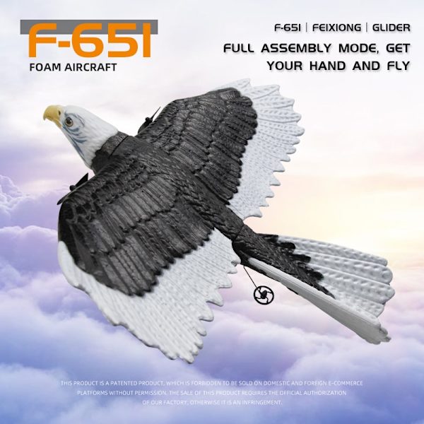 RC Foam Plane 405mm Simulering Wingspan Eagle Aircraft 2.4G Radiokontroll Fjärrkontroll Glider Flygplan Leksaker för barn Pojkar FX651-1B