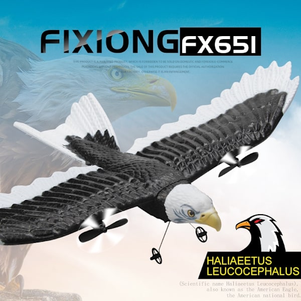 RC Foam Plane 405mm Simulering Wingspan Eagle Aircraft 2.4G Radiokontroll Fjärrkontroll Glider Flygplan Leksaker för barn Pojkar FX651-1B