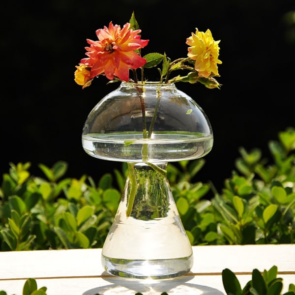 Svampformad glasvas Transparent Hydroponics Vasrum D 12*8cm