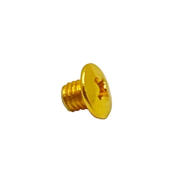 10 st Hårklippare Skruv för WAHL 8591 Bit Screw Fast Bit Skruv Gold