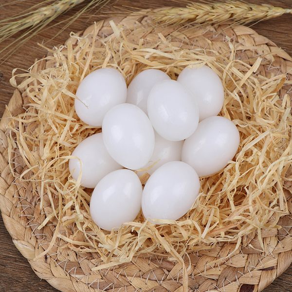 10 st Vit massiv plast solid duvaägg Dummyägg Hatchin