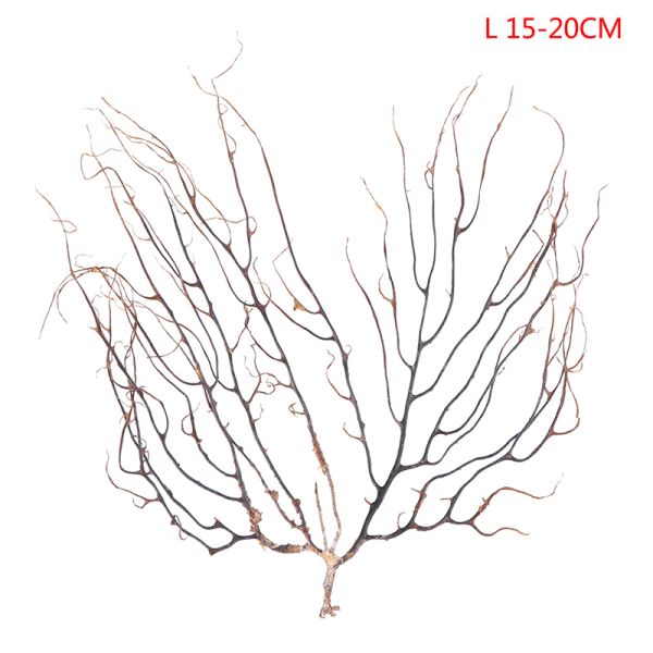 Naturlig simulering Sea Willow Sea Iron Tree Coral Branch Hantverk