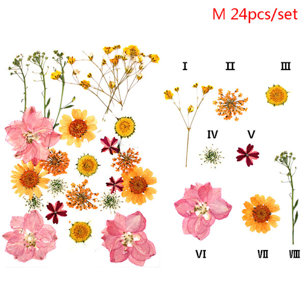 24 st Pressade blommor blandade torkade blommor DIY konst blomdekor M