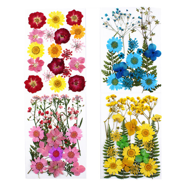 24 st Pressade blommor blandade torkade blommor DIY konst blomdekor A