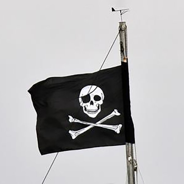10 st Skull and Cross Crossbones Jolly Roger Pirates Hand Flag
