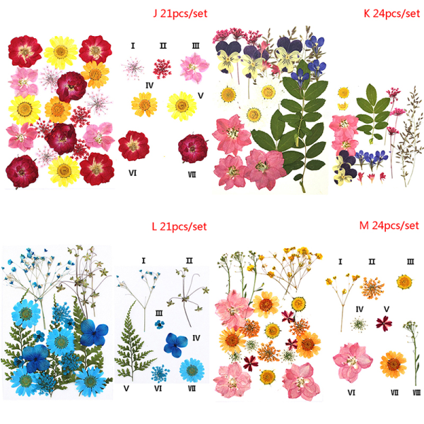 24 st Pressade blommor blandade torkade blommor DIY konst blomdekor C