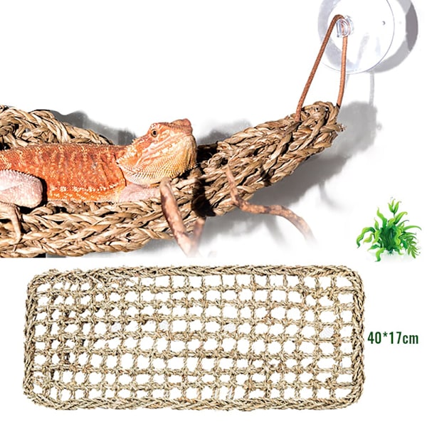 Reptilterrarium för Lizard Lounger Hängmatta Små eremitkräftor C