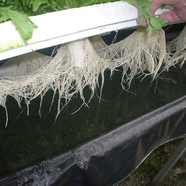 Hydroponisk flytande bräda för grönsaker, jordfri odlingsutrustning