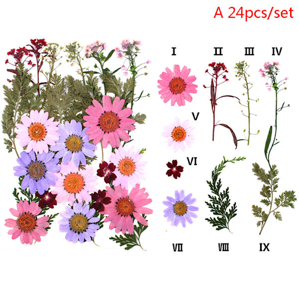 24 st Pressade blommor blandade torkade blommor DIY konst blomdekor A